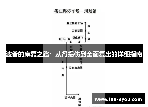 波普的康复之路：从肾损伤到全面复出的详细指南