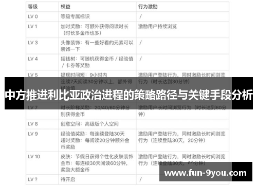中方推进利比亚政治进程的策略路径与关键手段分析