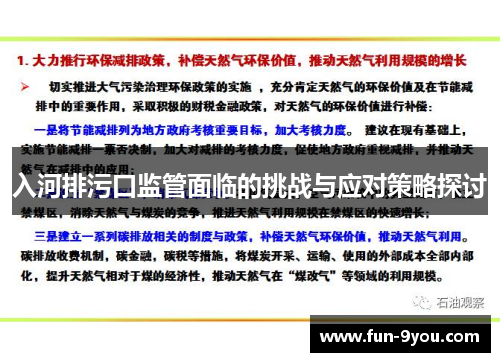 入河排污口监管面临的挑战与应对策略探讨