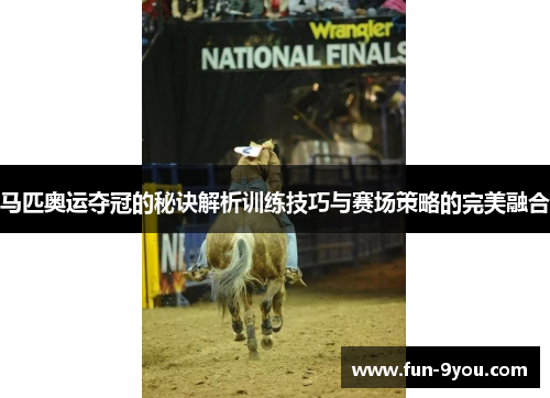 马匹奥运夺冠的秘诀解析训练技巧与赛场策略的完美融合