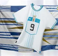 丹麦国家队将在客场挑战摩尔多瓦国家队(丹麦国家队将在客场挑战摩尔多瓦国家队球员)